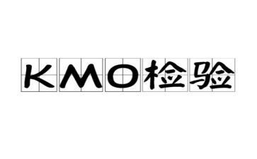 检验个人总结5篇