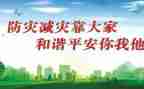 学校防震减灾的工作总结6篇