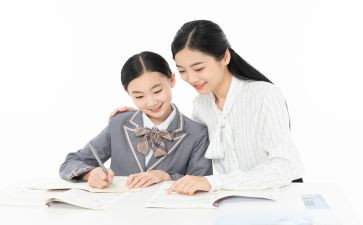 2024残联教就工作总结8篇