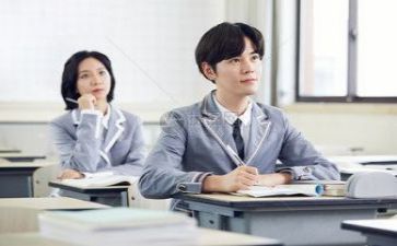 教师年度总结个人工作总结推荐8篇