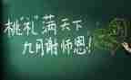 被指导教师工作总结参考6篇