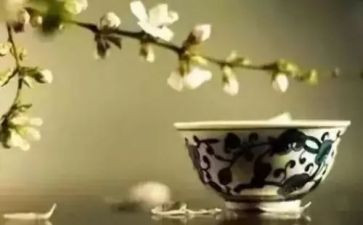 教养工作月计划5篇