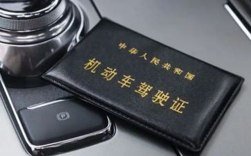 领驾照的心得体会8篇