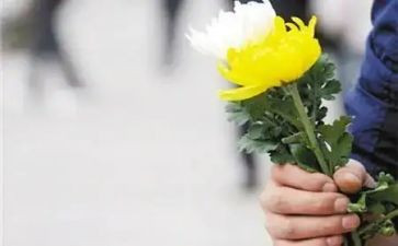 清明祭奠英烈活动总结5篇