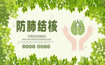 324结核病宣传总结7篇