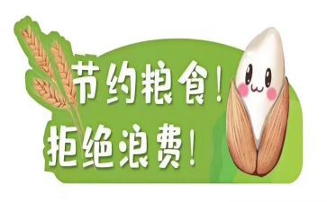 青春节粮心得体会参考7篇