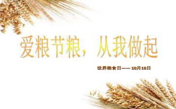 青春节粮心得体会最新7篇