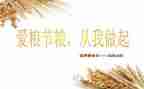青春节粮心得体会最新7篇