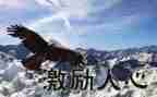 激励演讲稿最新5篇