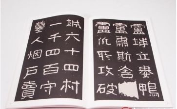 晋高职教师个人总结5篇
