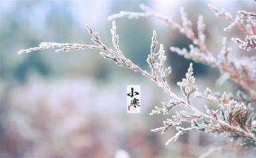 大班画节气教案5篇
