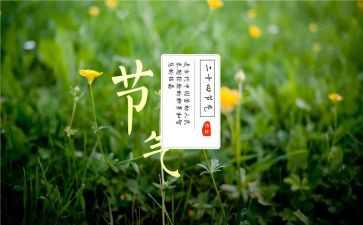 大班画节气教案模板7篇