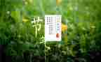 大班画节气教案模板7篇