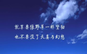 代会精神心得体会6篇