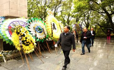清明祭扫活动的总结7篇