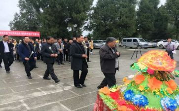 清明节烈士祭扫活动方案8篇