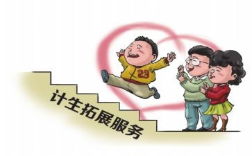村计生半年工作总结8篇