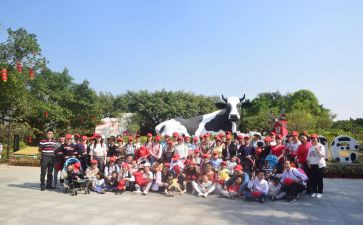 幼儿园爱集体活动总结6篇