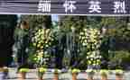 祭英烈演讲稿800字5篇