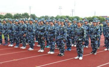800字军训心得体会参考6篇