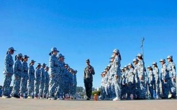 军训12天心得体会6篇