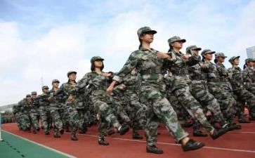 军训期间心得体会500作文7篇