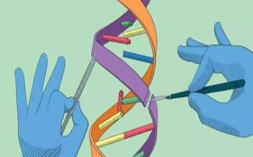小班科学室教案参考8篇
