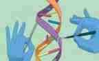 科学沉与浮小班教案参考5篇