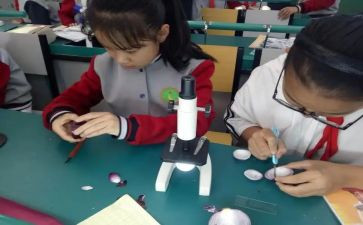 幼儿园中班科学课教案推荐6篇