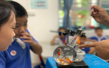幼儿园中班科学课教案最新8篇