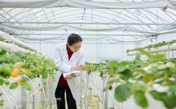 在科研工作的工作总结最新8篇