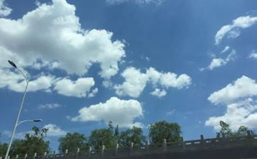 空气的调查报告7篇