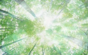 空气污染调查报告推荐7篇