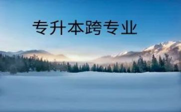跨专业实习心得体会精选7篇