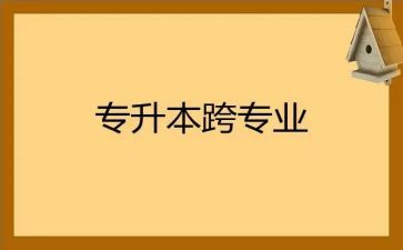 跨专业教师工作总结8篇