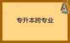 跨专业教师工作总结8篇