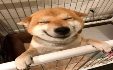 音乐社的心得体会参考5篇