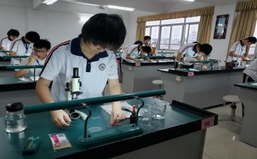 理化生工作计划通用7篇