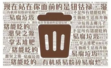 垃圾分类健康操教案5篇