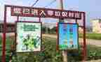 垃圾的演讲稿优质7篇