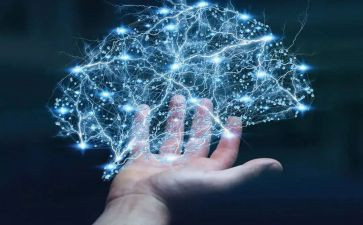 有趣的体科学领域教案8篇