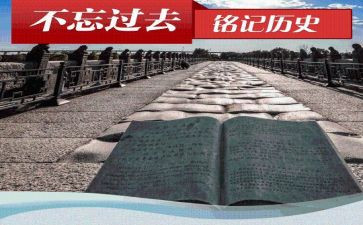 历史教研员活动总结8篇
