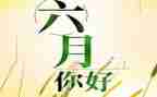 教师六月总结6篇