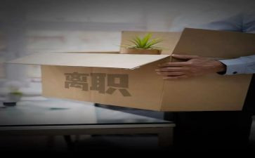 入离职申请书优质8篇