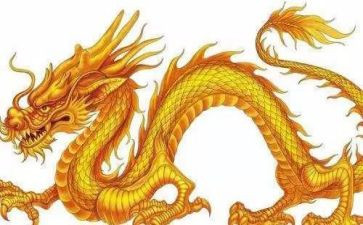 大班赛龙舟教案5篇