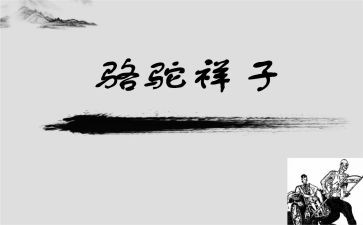 骆驼祥子八心得体会优秀5篇