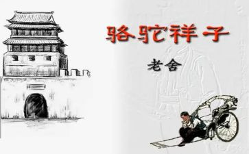 写骆驼的作文7篇