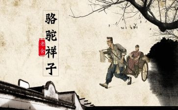 骆驼祥子八心得体会8篇