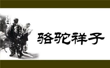 骆驼祥子八心得体会通用8篇