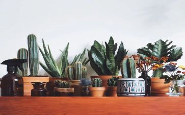 绿色上网主题班会教案7篇